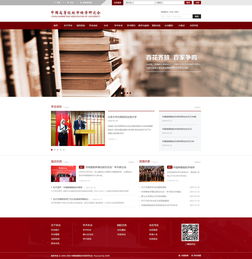 北京大学 中国高等院校市场学研究会门户设计 神州互动网站建设项目